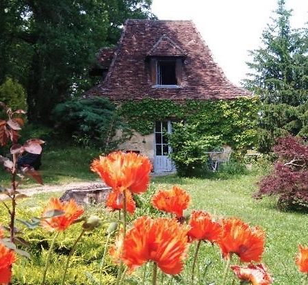 Petite Maison En Perigord Noir Plazac Zewnętrze zdjęcie