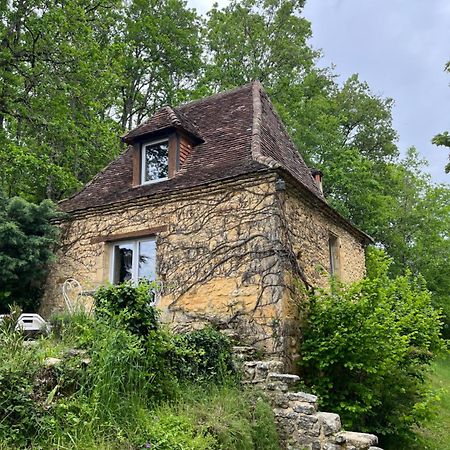 Petite Maison En Perigord Noir Plazac Zewnętrze zdjęcie