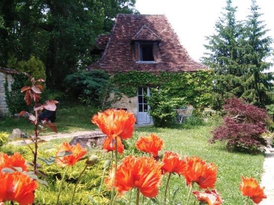 Petite Maison En Perigord Noir Plazac Zewnętrze zdjęcie